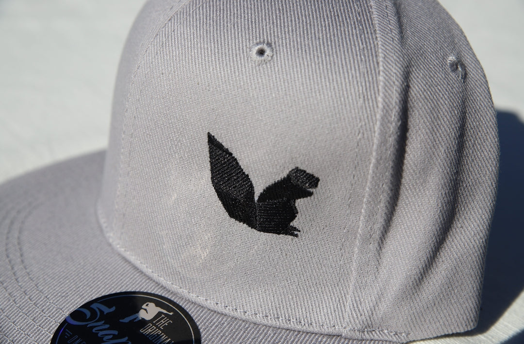AE Snapback GREY/Black